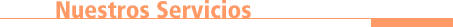 Nuestros Servicios